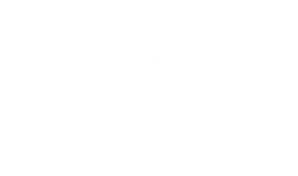 Logo MIC White